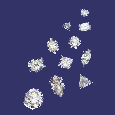  diamants formes et tailles